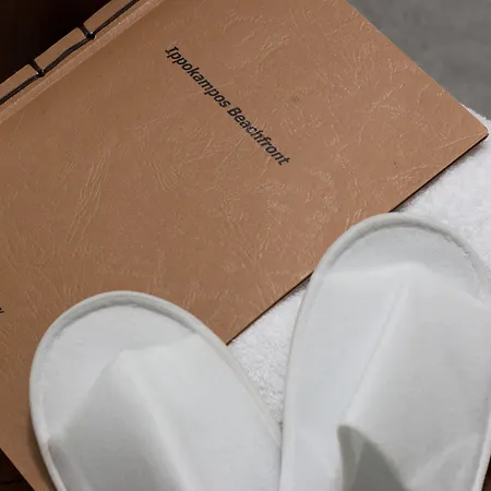 Ippokampos Town Apartmán Naxos City