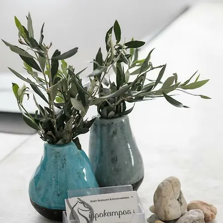 Ippokampos Town Apartments Apartment Naxos City
