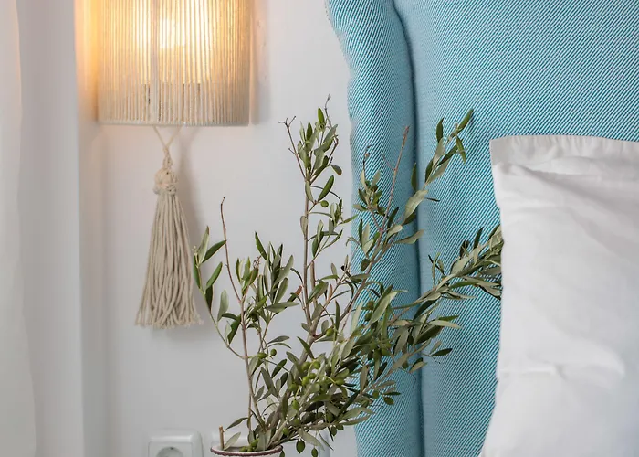 Ippokampos Town * Naxos City