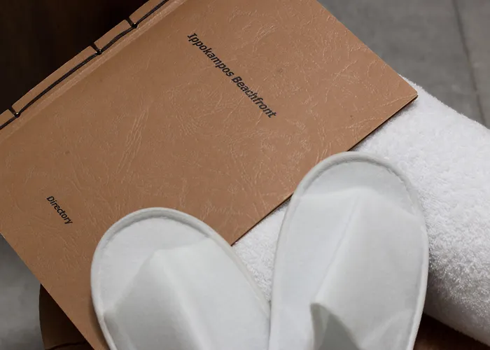 Ippokampos Town Daire Naxos City