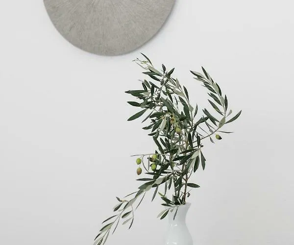 Daire Ippokampos Town Naxos City